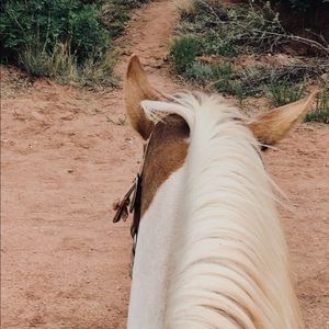 Meet your Posher, Tianna